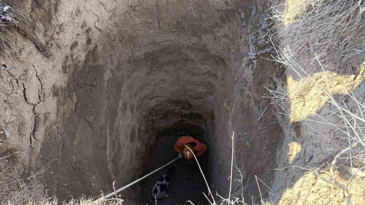 eskisehirde-12-metrelik-cukura-dusen-kopegi-afad-ekibi-kurtardi