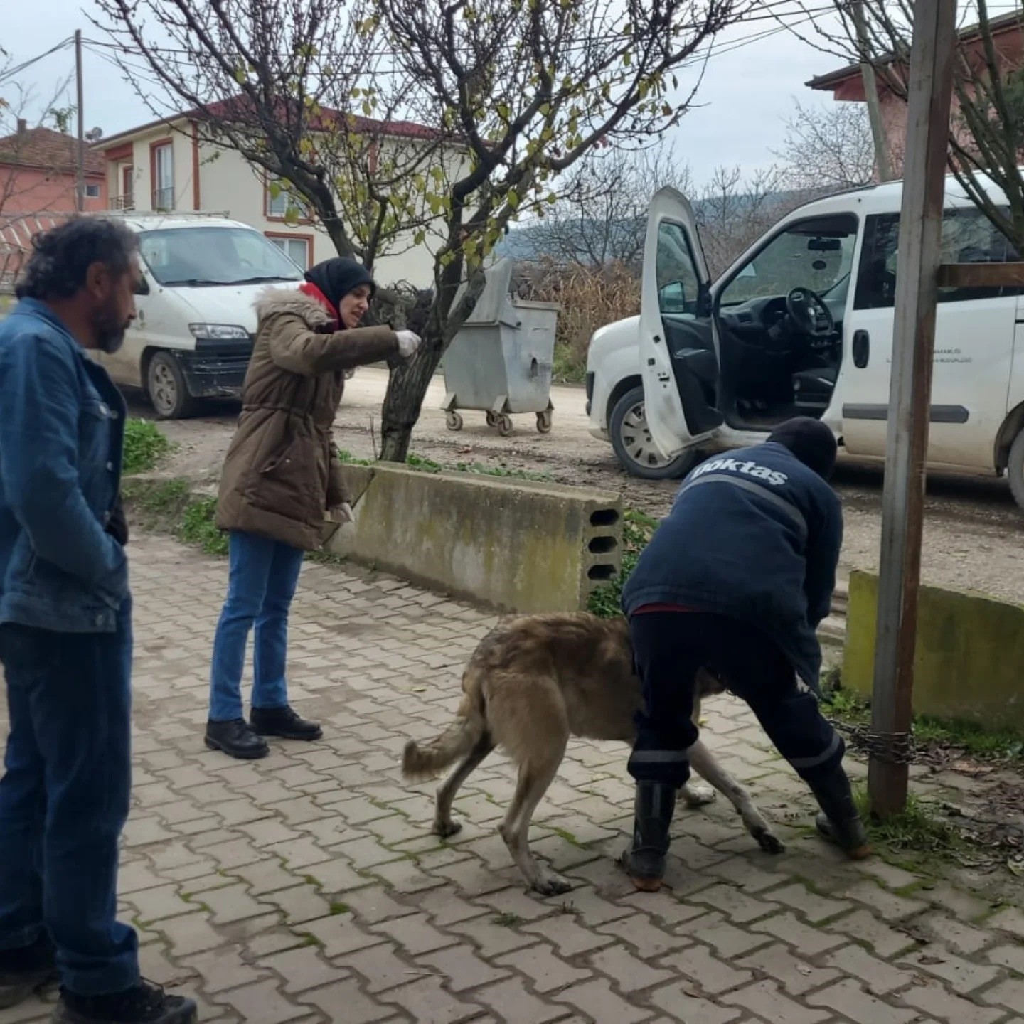 bilecikte-evcil-hayvanlar-kayit-altina-aliniyor