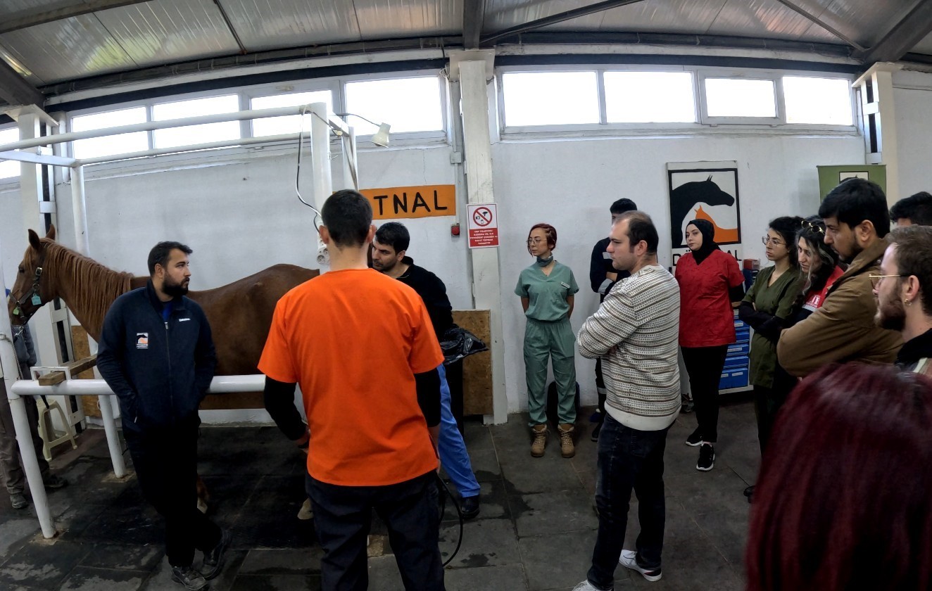 eskisehirde-kisraklarda-suni-tohumlama-egitimi-basariyla-tamamlandi