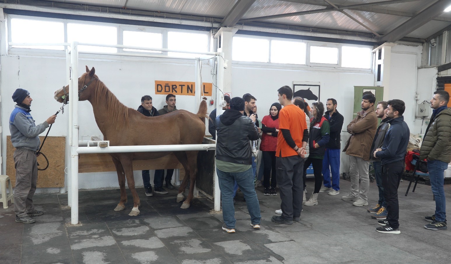 eskisehirde-kisraklarda-suni-tohumlama-egitimi-basariyla-tamamlandi