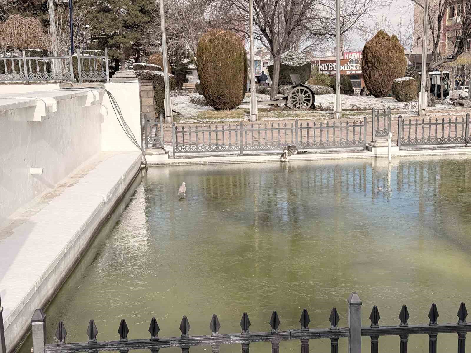 hava-sicakliklarinin-dustugu-afyonkarahisar-buz-kesti