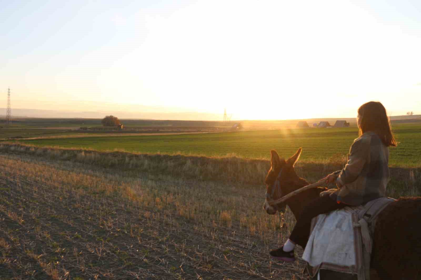 kucuk-kiz-baba-meslegi-cobanligi-devam-ettiriyor-eseginin-uzerinde-koyunlarini-guduyor