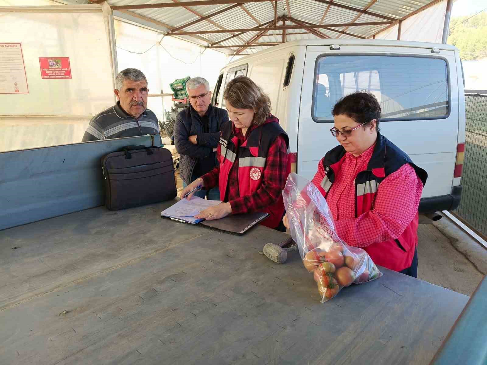 simavdaki-sera-alanlarindan-pestisit-denetimi-icin-domates-numunesi-alimi