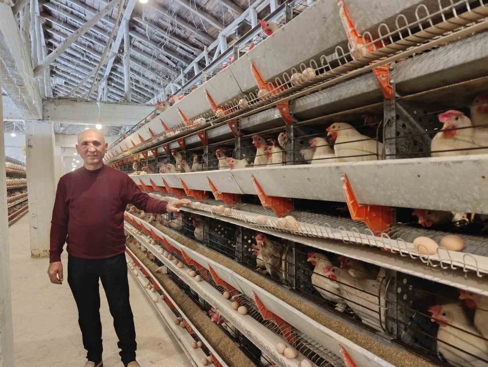 simavin-kusu-beldesinde-gunluk-15-bin-yumurta-uretimi