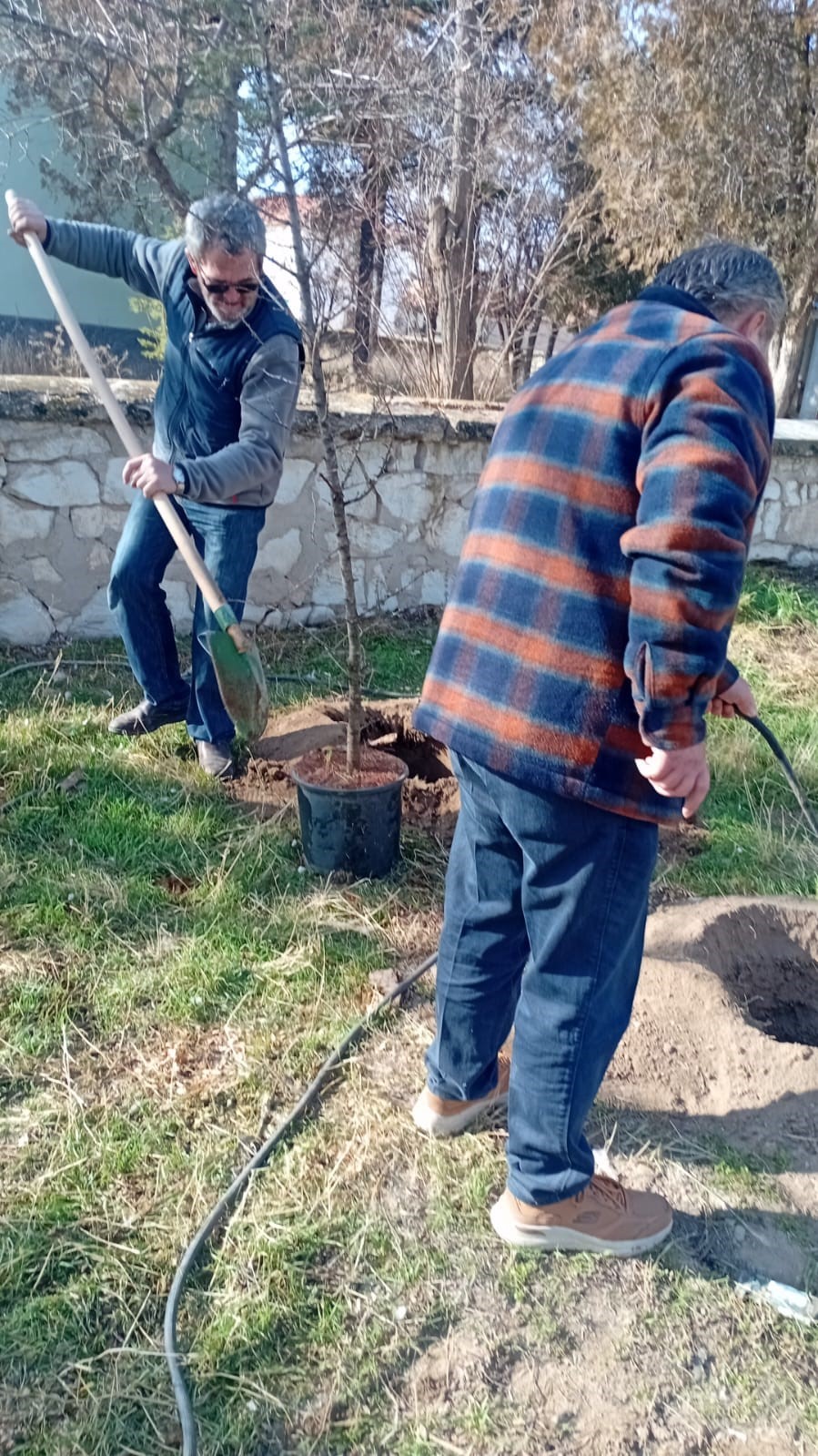 umraniye-koyluleri-300-adet-fidani-okul-ve-camii-bahcesine-diktiler