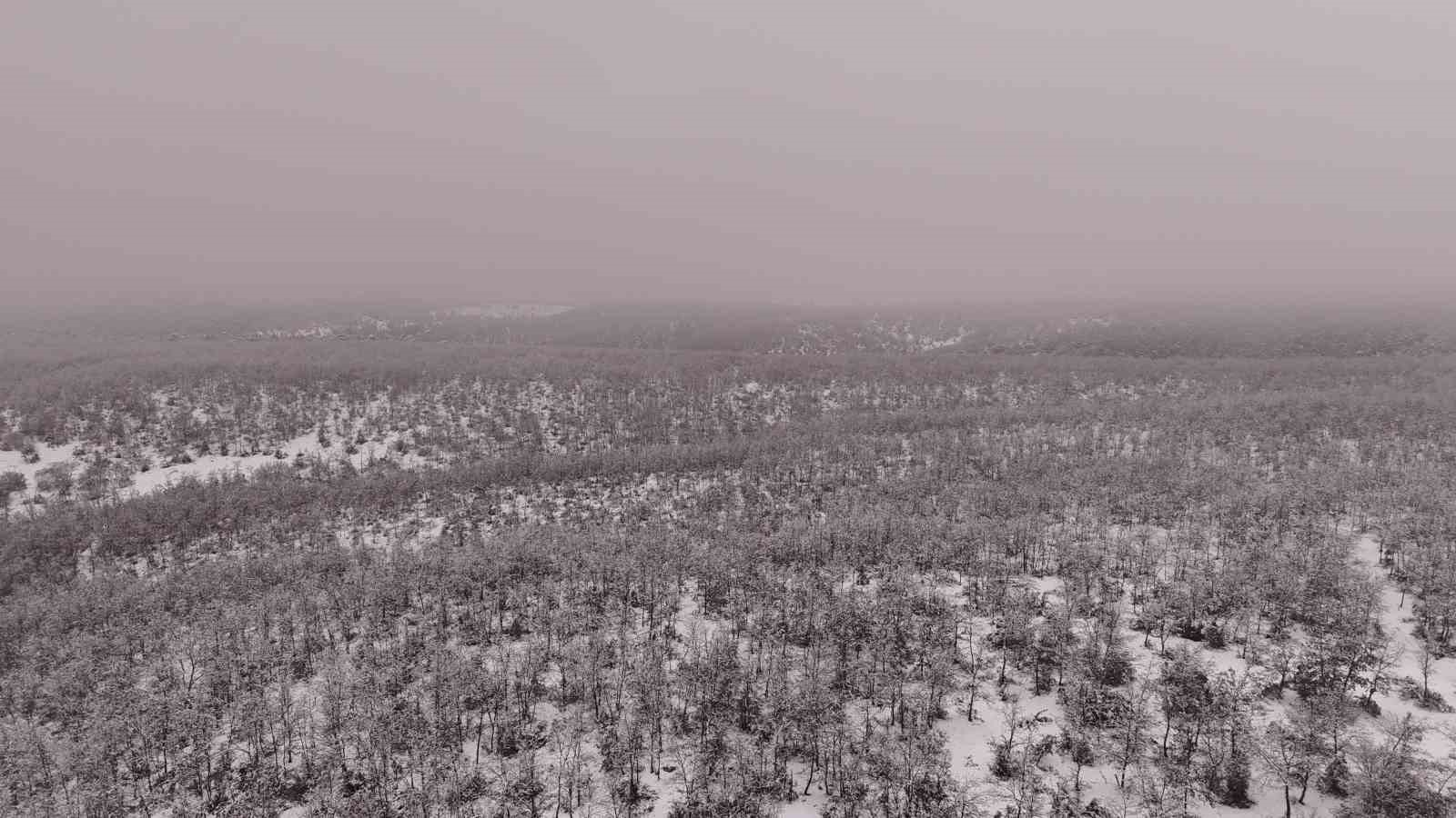 eskisehirin-kirsalina-yagan-kar-essiz-manzaralar-olusturdu