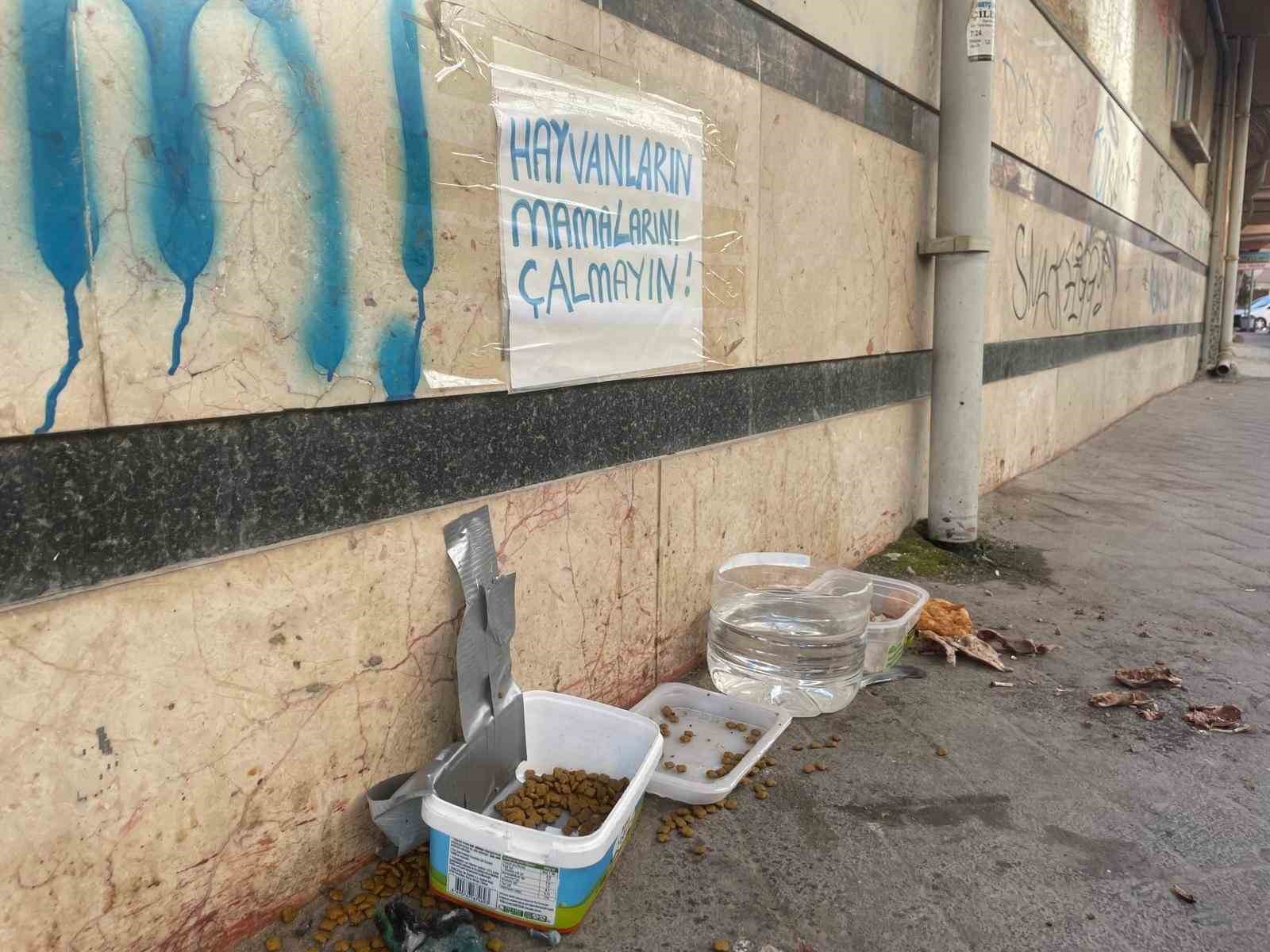 eskisehirde-hayvanlarin-mamalarini-calmayin-uyarisi