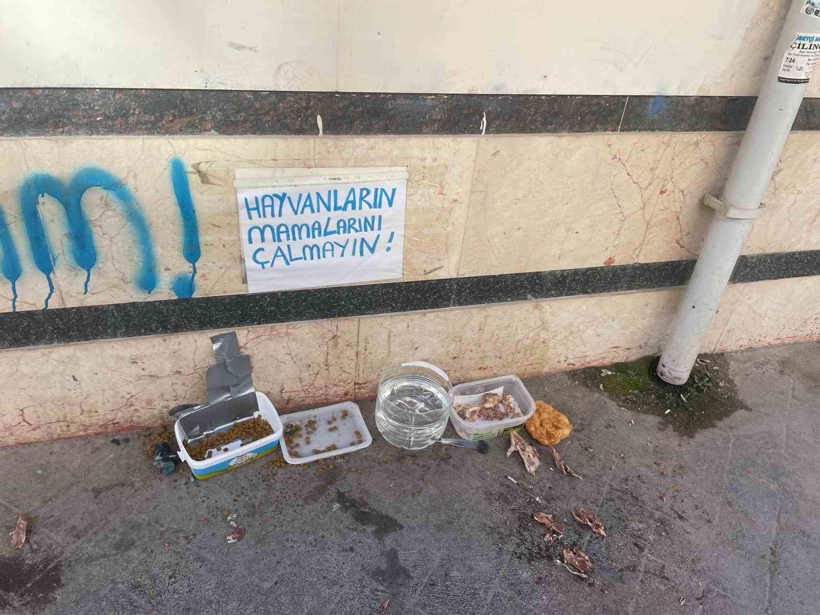 eskisehirde-hayvanlarin-mamalarini-calmayin-uyarisi