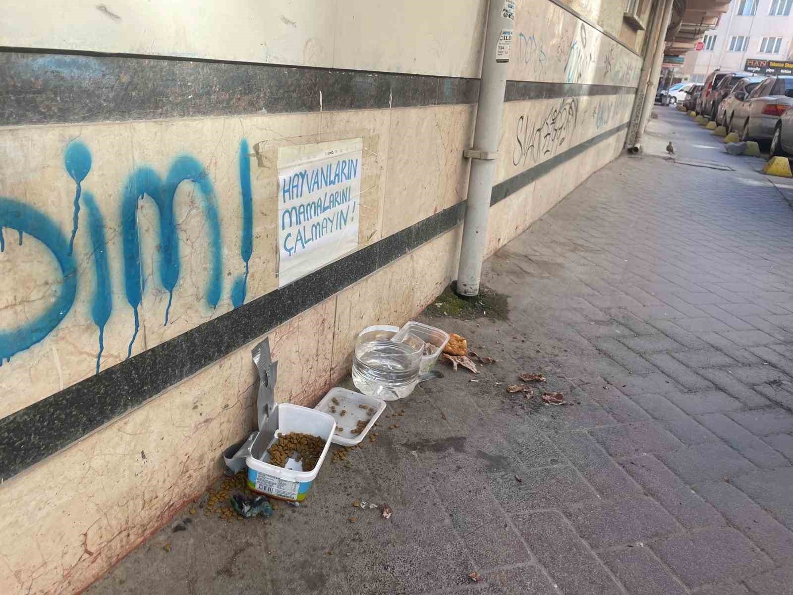 eskisehirde-hayvanlarin-mamalarini-calmayin-uyarisi