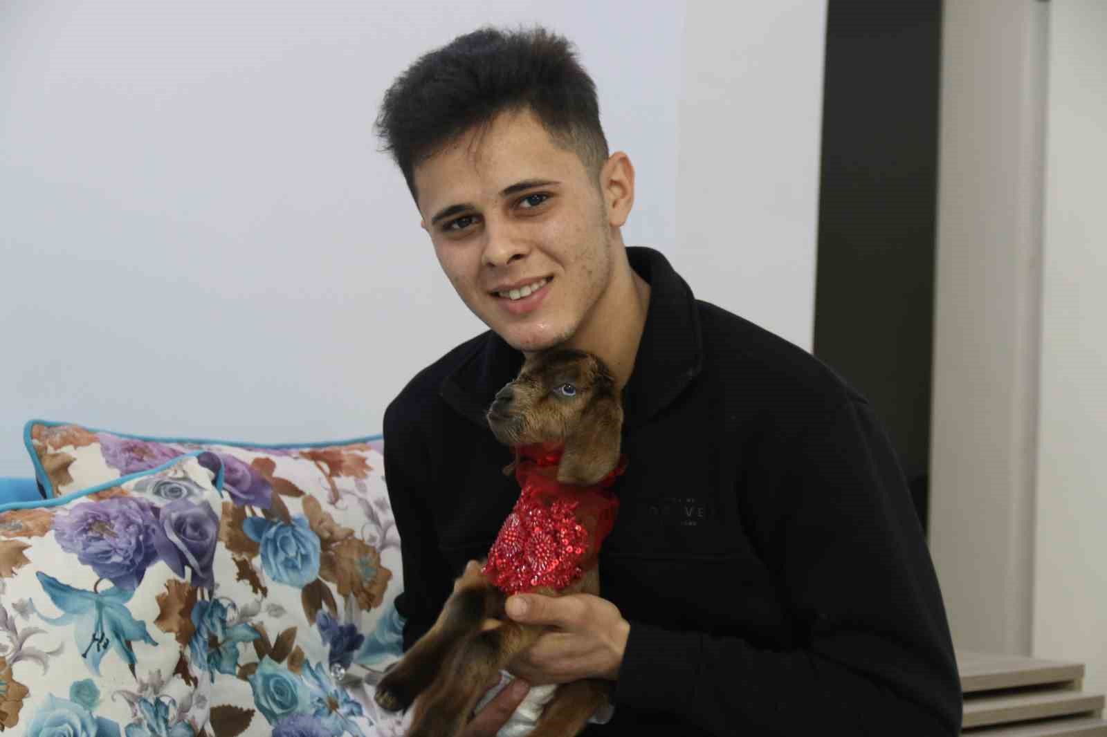 eve-aldigi-keci-yavrusuna-bebek-gibi-bakiyor