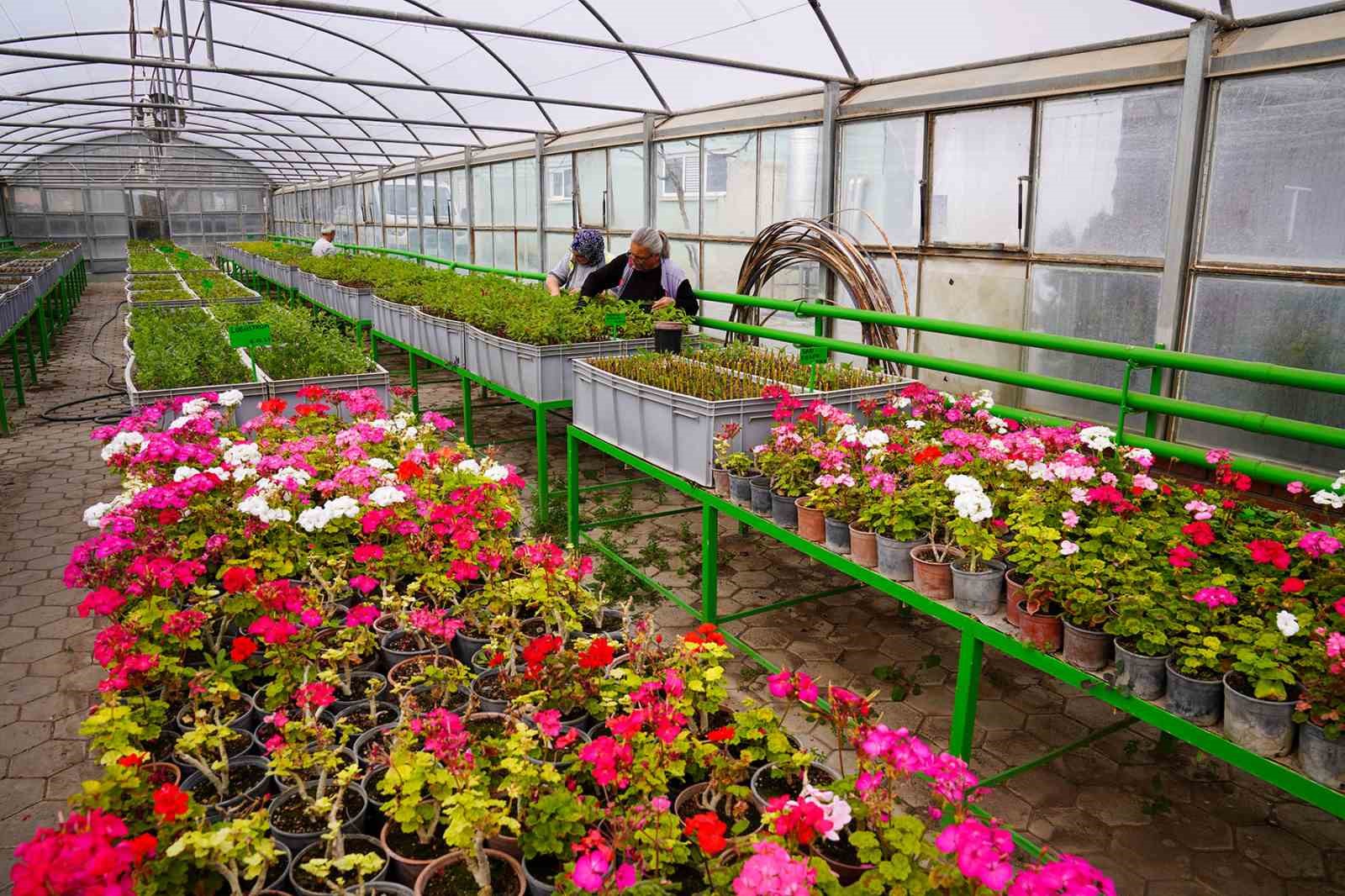 rengarenk-tepebasi-icin-ciceklerin-uretimi-suruyor