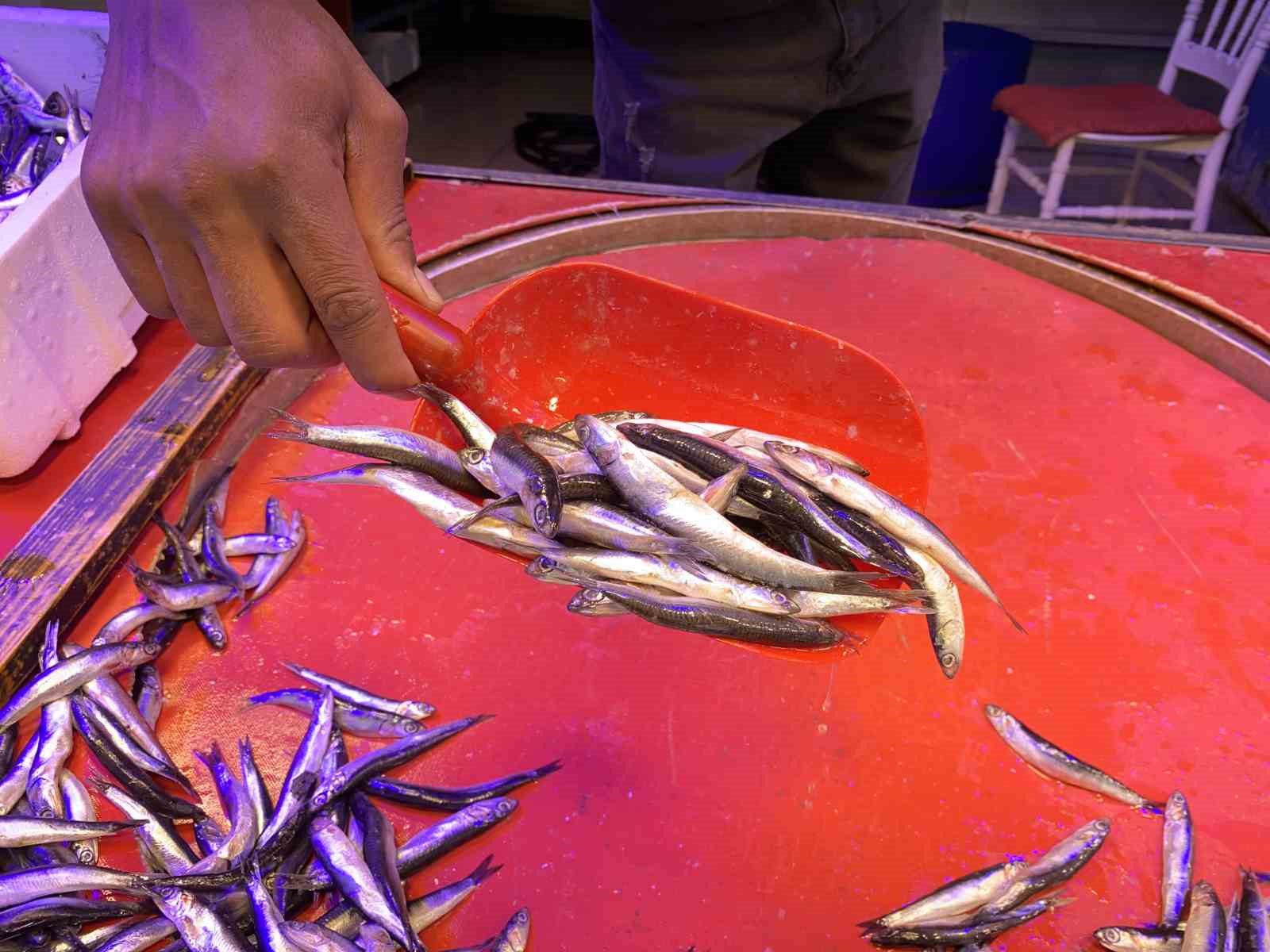 balik-sezonunun-son-gununde-satislar-yogunlasti