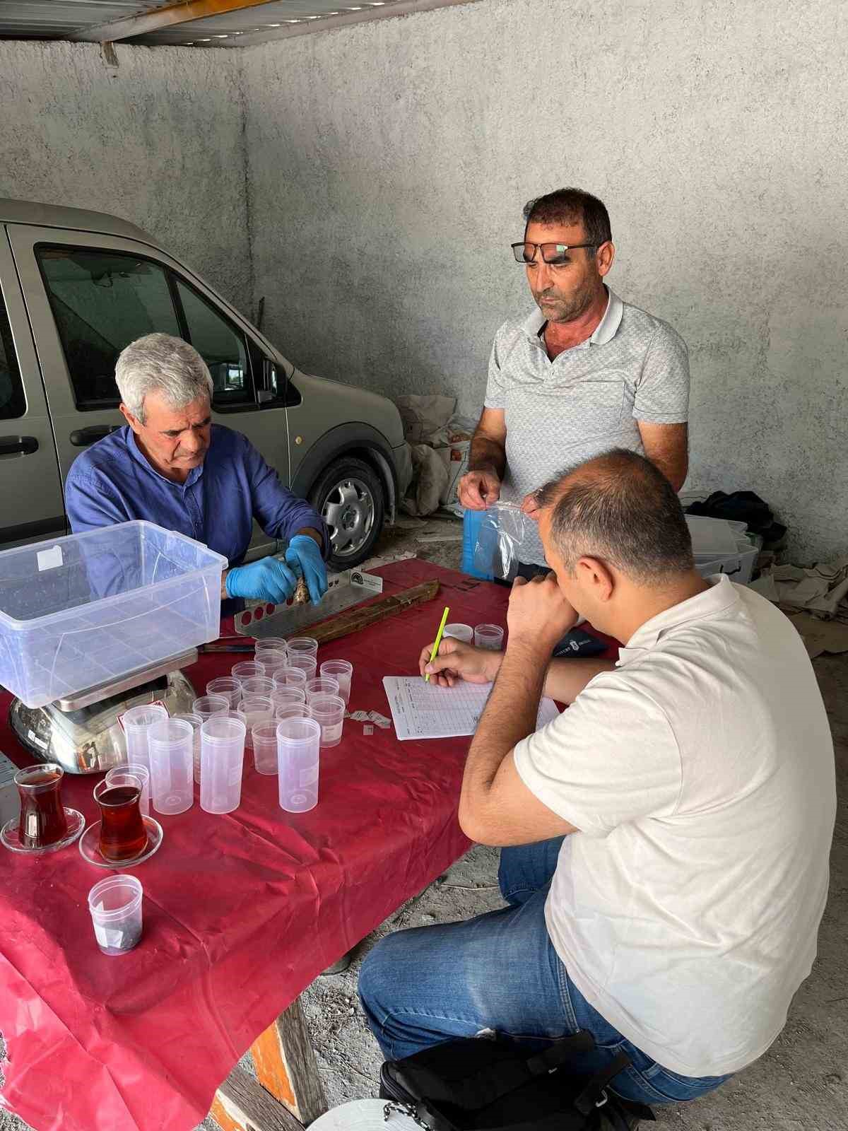 eskisehirde-istilaci-balik-turleri-ile-mucadele