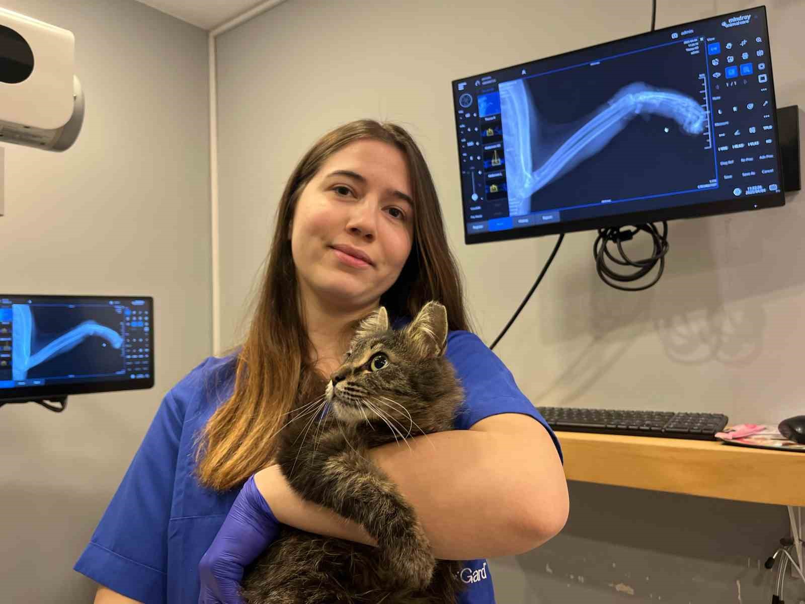 lastikle-patisi-baglanan-kedi-ayagini-kaybedebilir