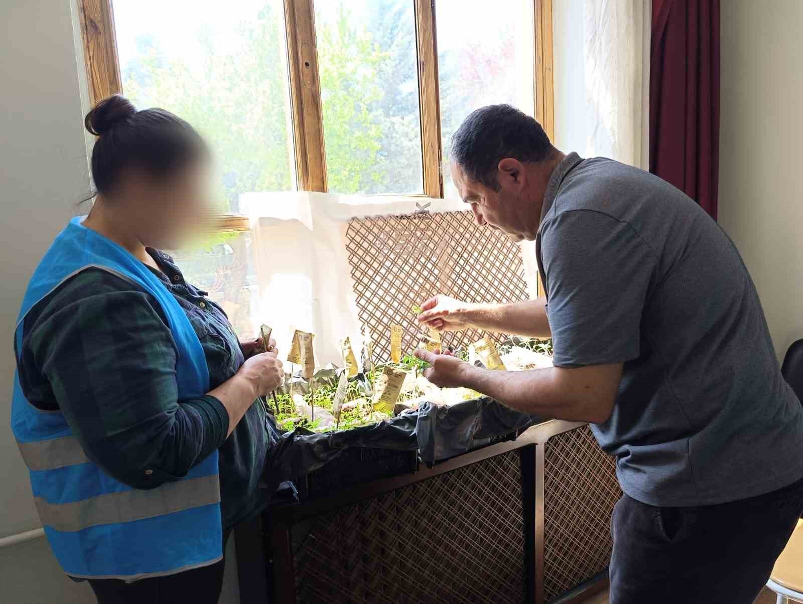 yukumlulerin-ektigi-tohumlardan-cikacak-urunler-ihtiyac-sahiplerine-dagitilacak