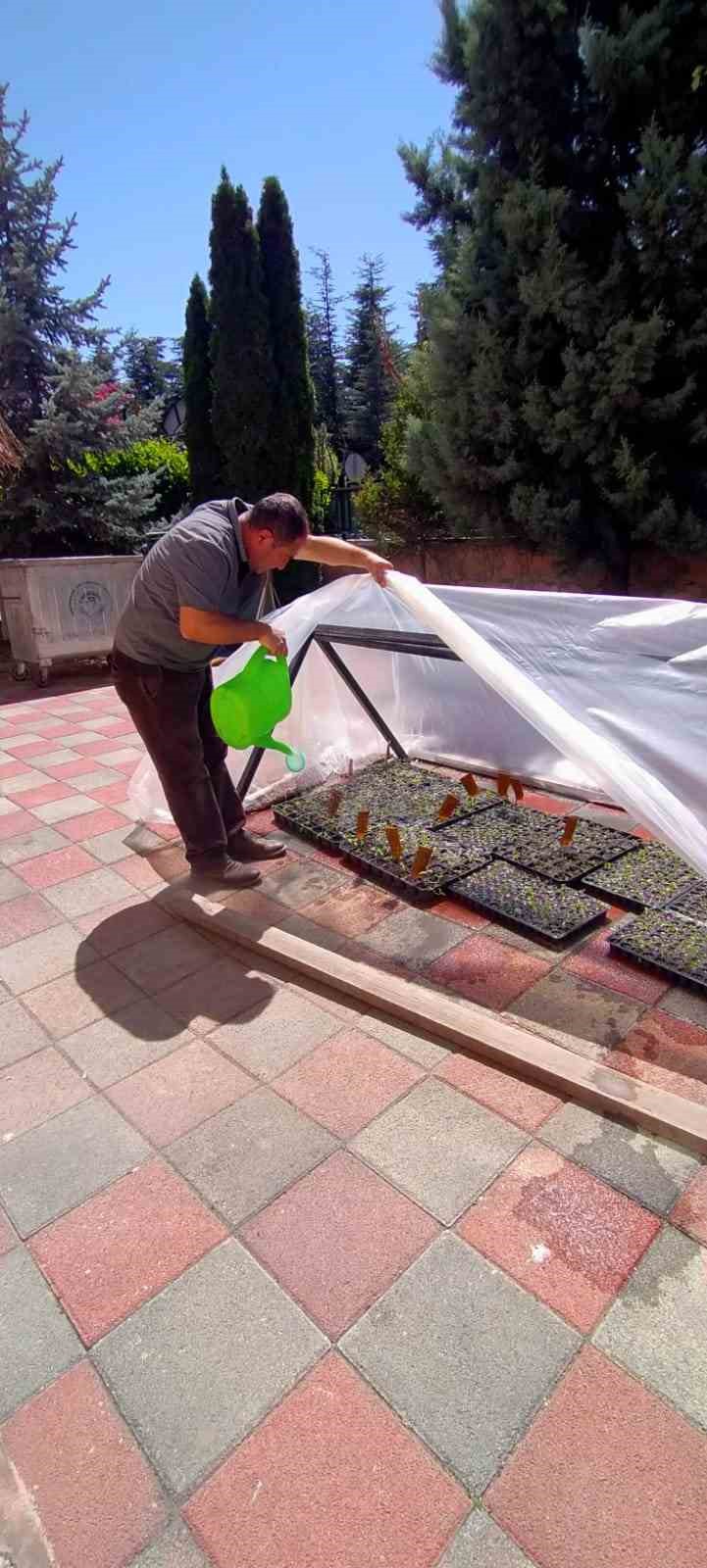 yukumlulerin-ektigi-tohumlardan-cikacak-urunler-ihtiyac-sahiplerine-dagitilacak