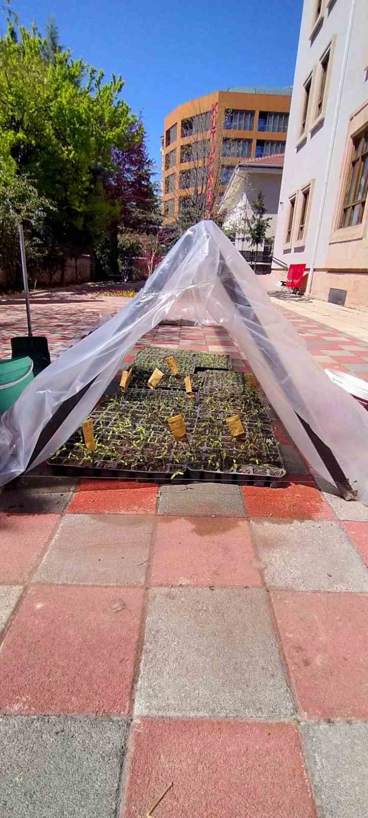 yukumlulerin-ektigi-tohumlardan-cikacak-urunler-ihtiyac-sahiplerine-dagitilacak