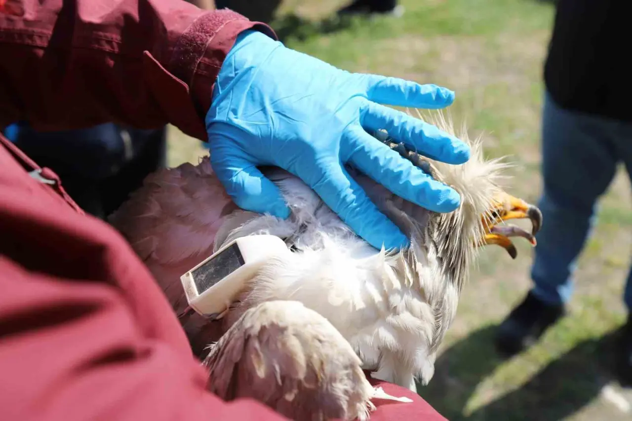 akbaba-midas-101-bin-kilometre-uctu