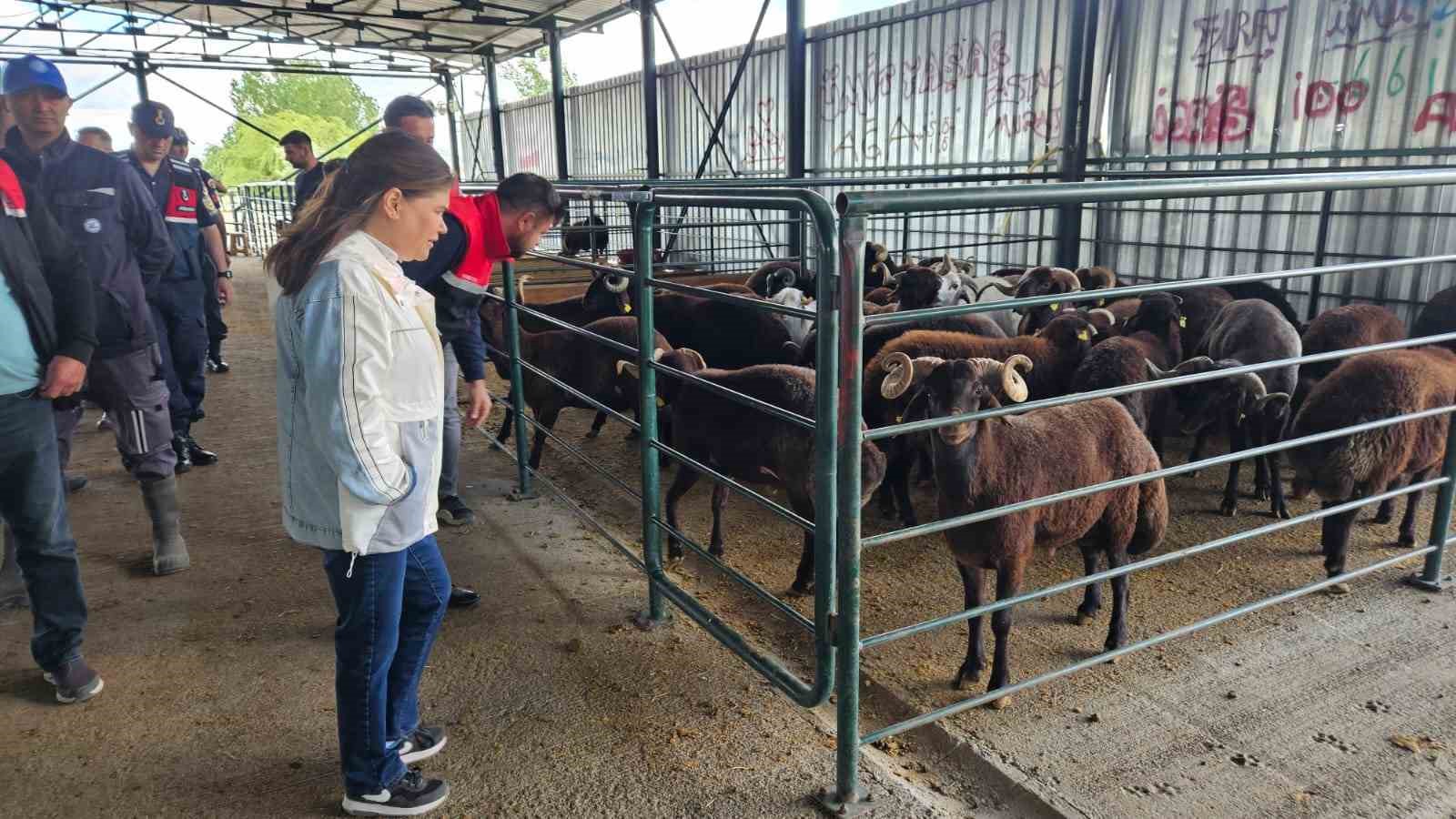 eskisehir-kurban-satis-hayvan-pazarinda-denetim-ve-kontroller