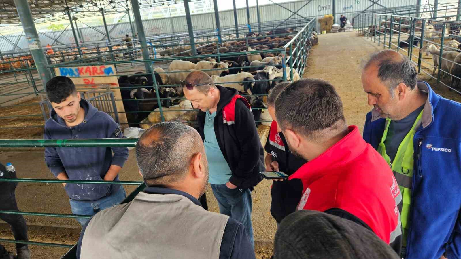 eskisehir-kurban-satis-hayvan-pazarinda-denetim-ve-kontroller