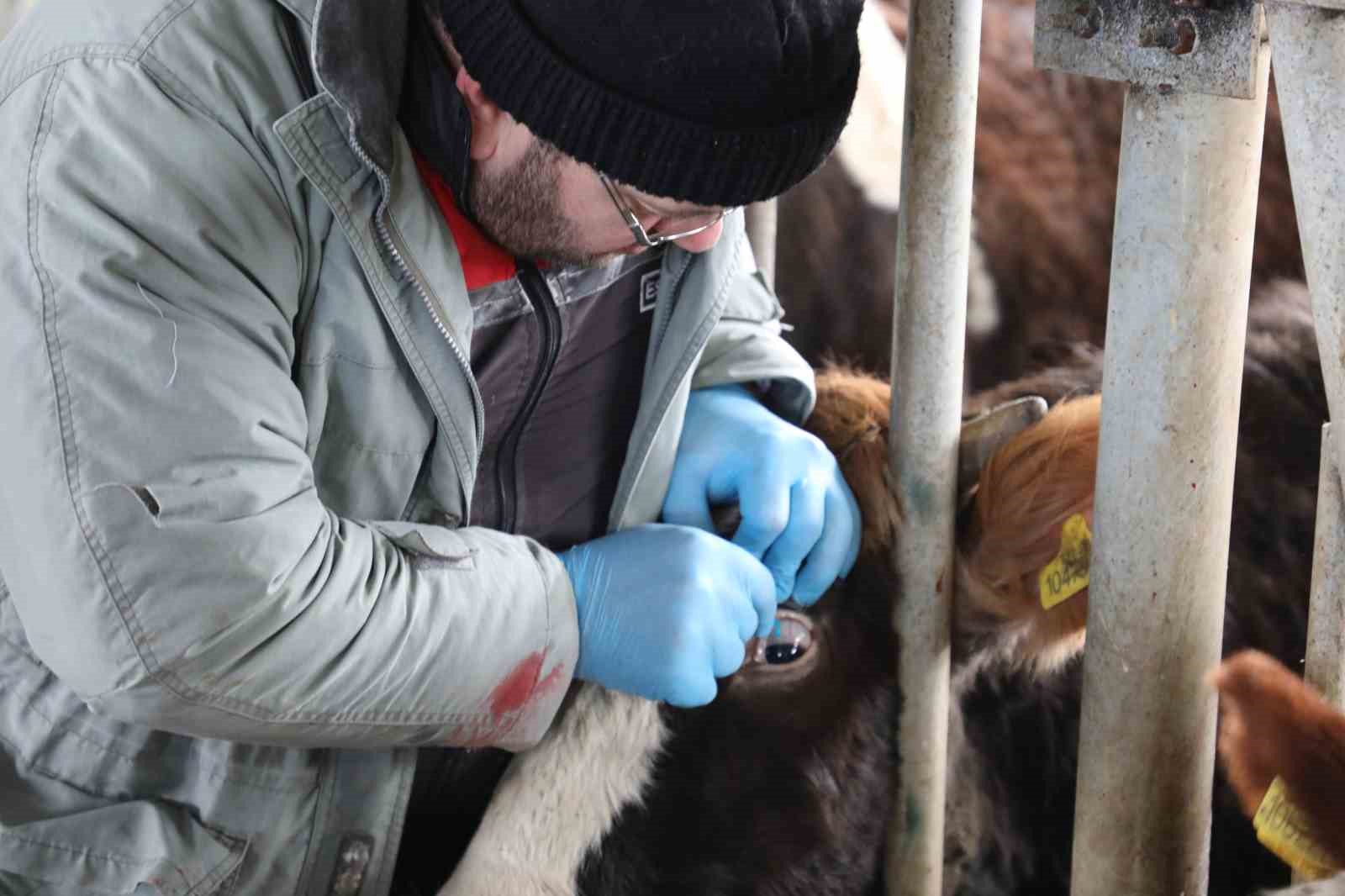 eskisehirde-sap-asilama-kampanyasi-yuzde-100-basariyla-tamamlandi