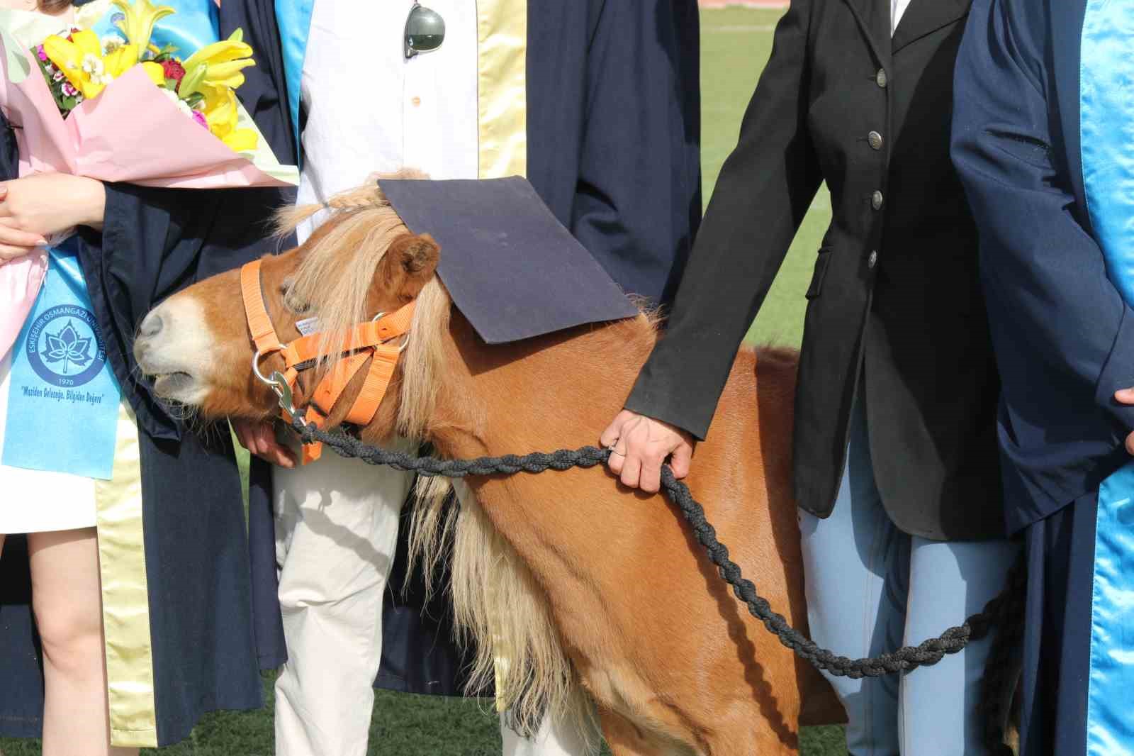 kep-takan-sevimli-at-4-bin-500-ogrenci-ile-birlikte-mezun-oldu