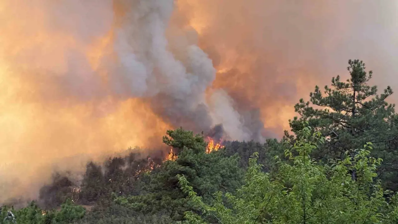 bilecike-sicrayan-orman-yangini-nedeniyle-7-koy-yeri-bosaltildi