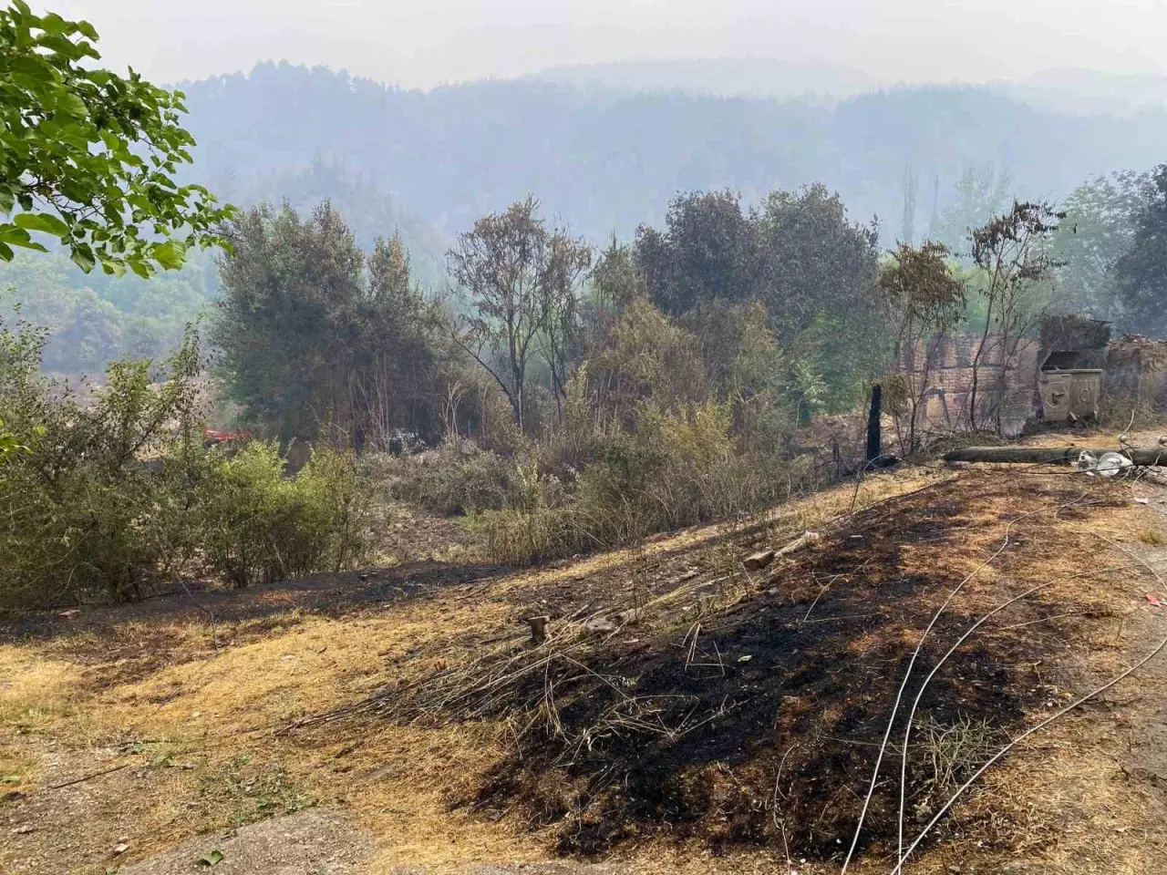 bilecikte-3-gundur-devam-eden-yangin-yagmurun-etkisiyle-kismen-kontrol-altina-alindi