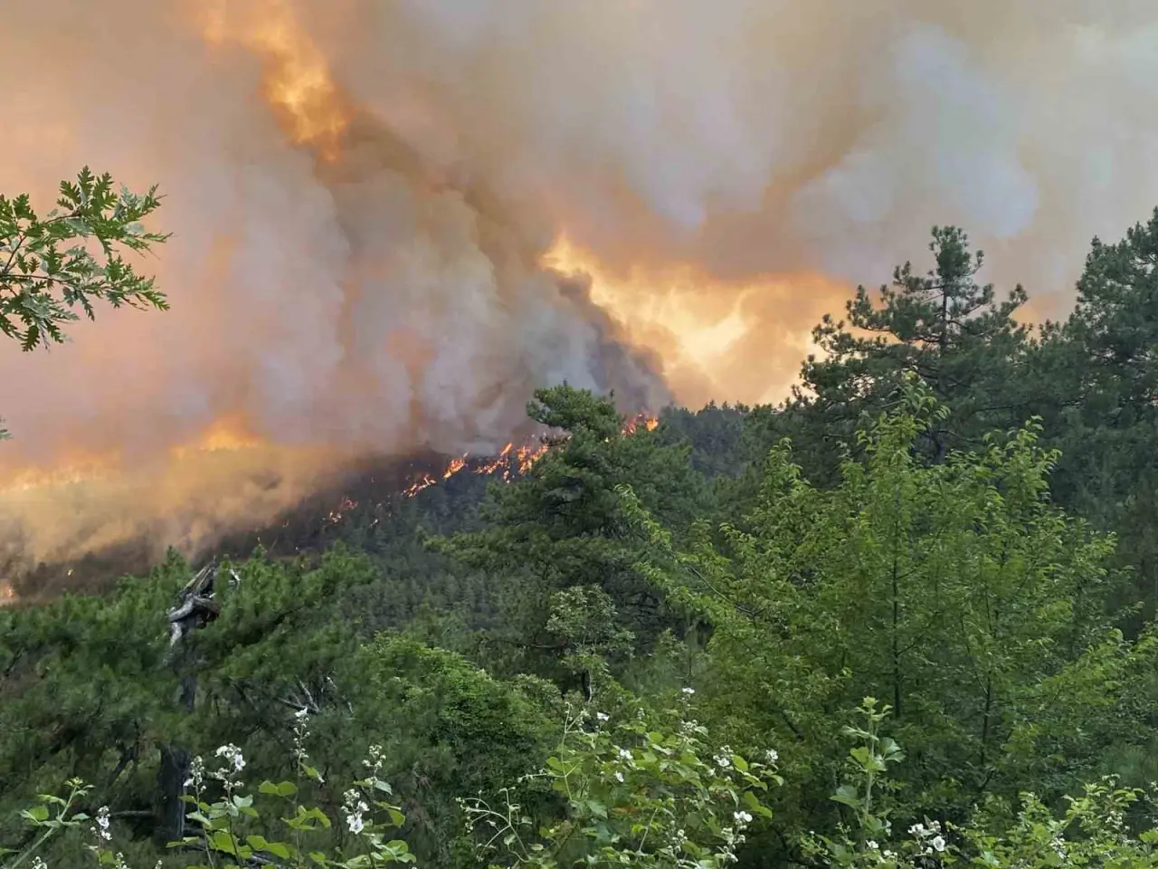 bilecike-sicrayan-orman-yangini-nedeniyle-7-koy-yeri-bosaltildi