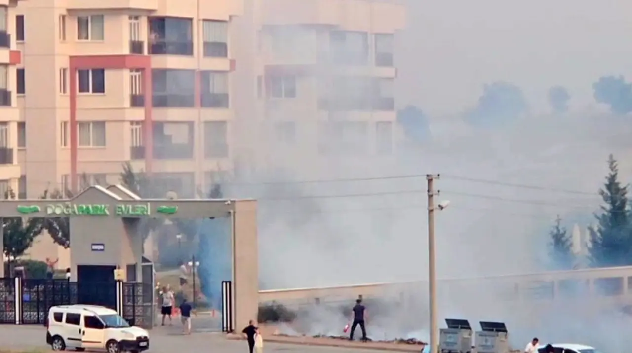 cope-atilan-sigara-izmariti-nedeniyle-yangin-cikti