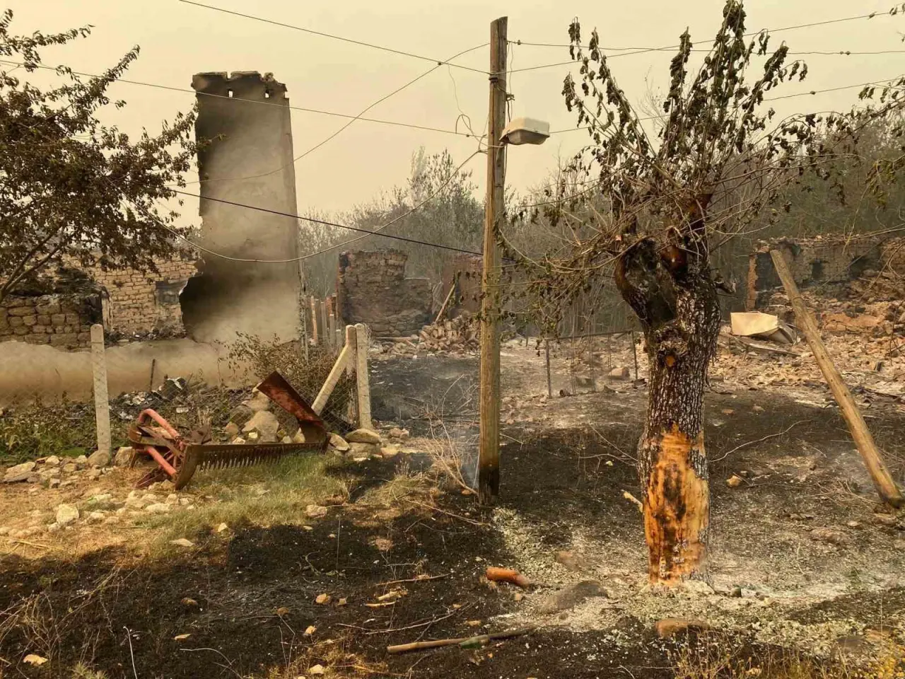 bilecikteki-orman-yangininda-bir-koy-kul-oldu