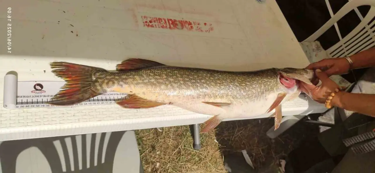 pelitozu-golparkta-turna-balik-avi-yarismasi-duzenlendi