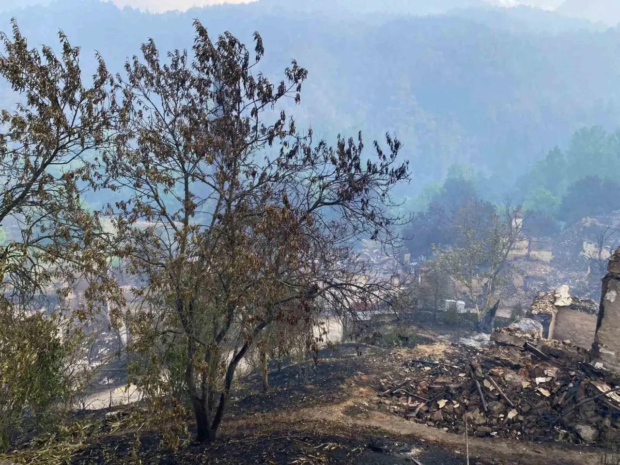 bilecikte-3-gundur-devam-eden-yangin-yagmurun-etkisiyle-kismen-kontrol-altina-alindi