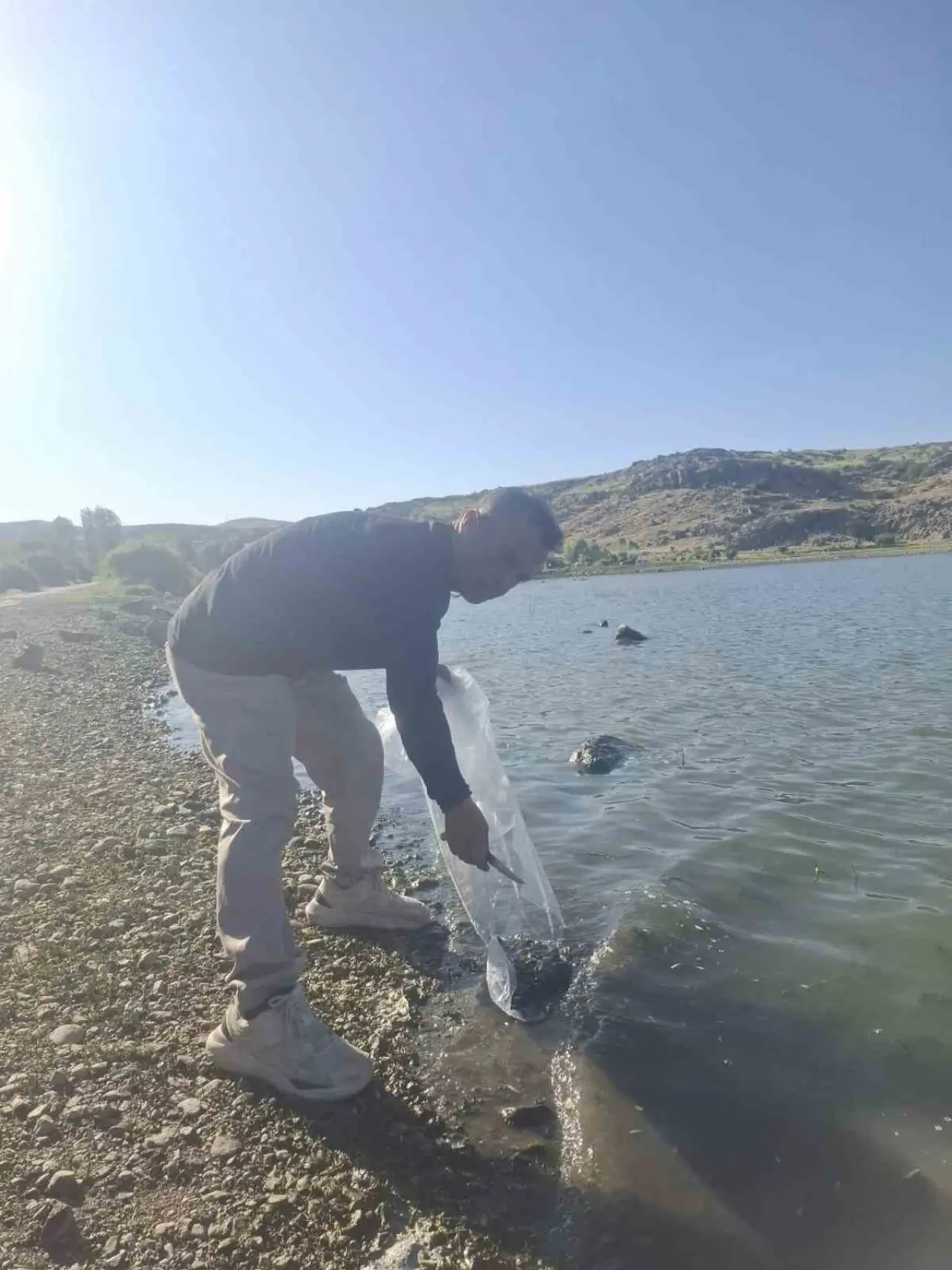 goletlere-85-bin-yavru-sazan-baligi-birakildi