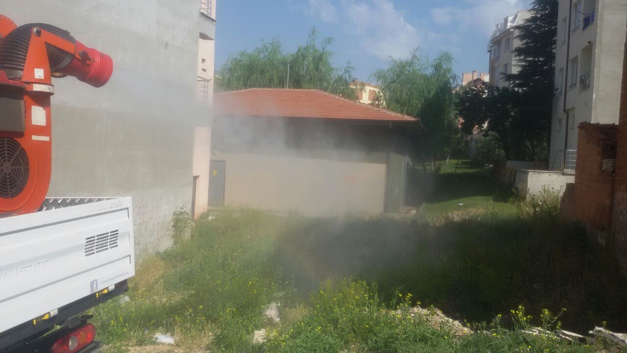 odunpazari-belediyesinden-kenelere-karsi-etkili-mucadele