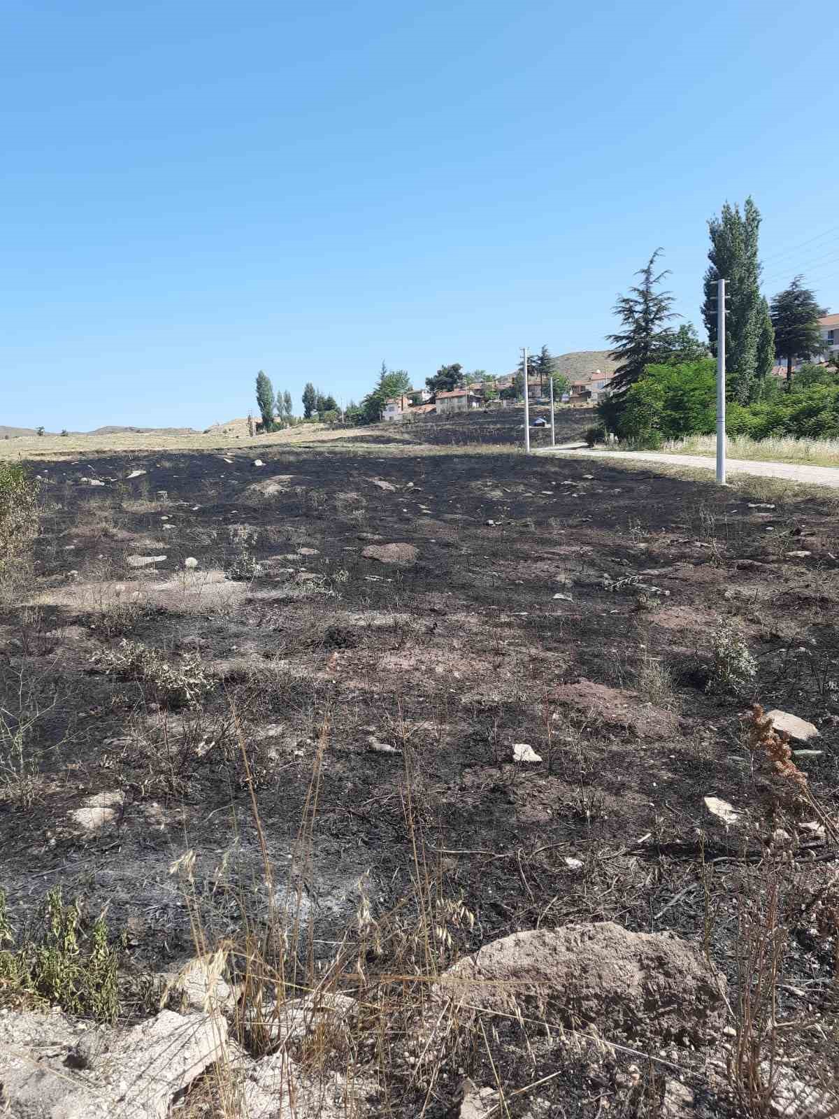 torpilden-cikan-yanginda-15-donumluk-arazi-kul-oldu