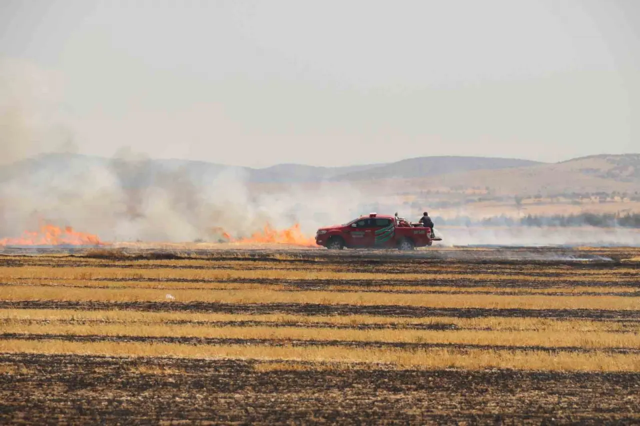 trafodan-cikan-yanginda-50-donum-tarim-arazisi-kul-oldu