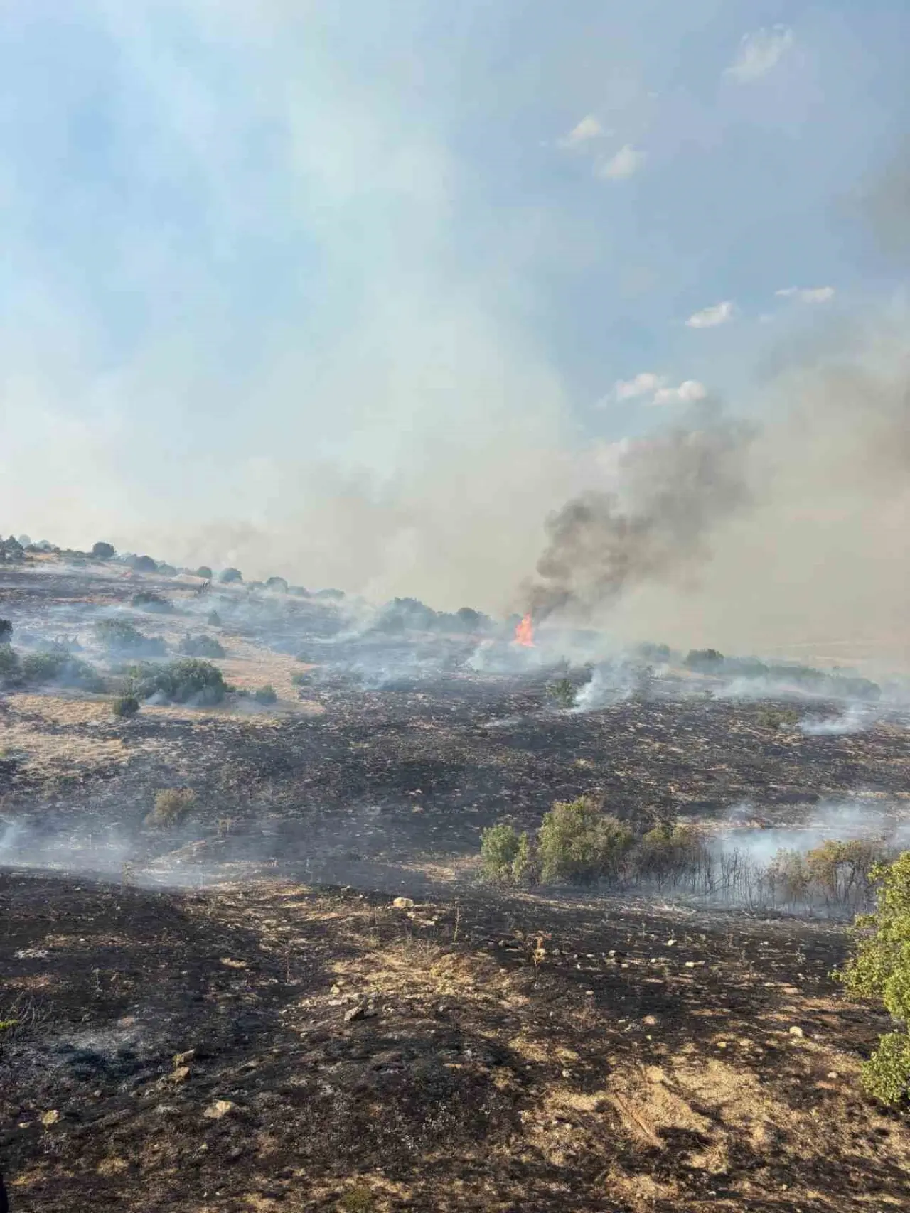 tarla-ve-ormandan-olusan-2-bin-dekarlik-alanin-kul-oldugu-yangin-kontrol-altina-alindi