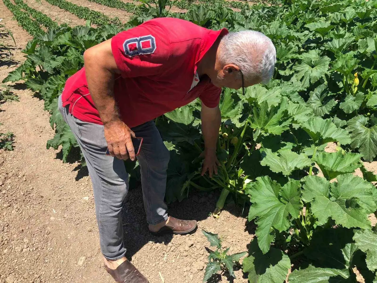 kendi-yetistirdikleri-urunleri-satmalarina-ragmen-kazanc-saglayamiyorlar