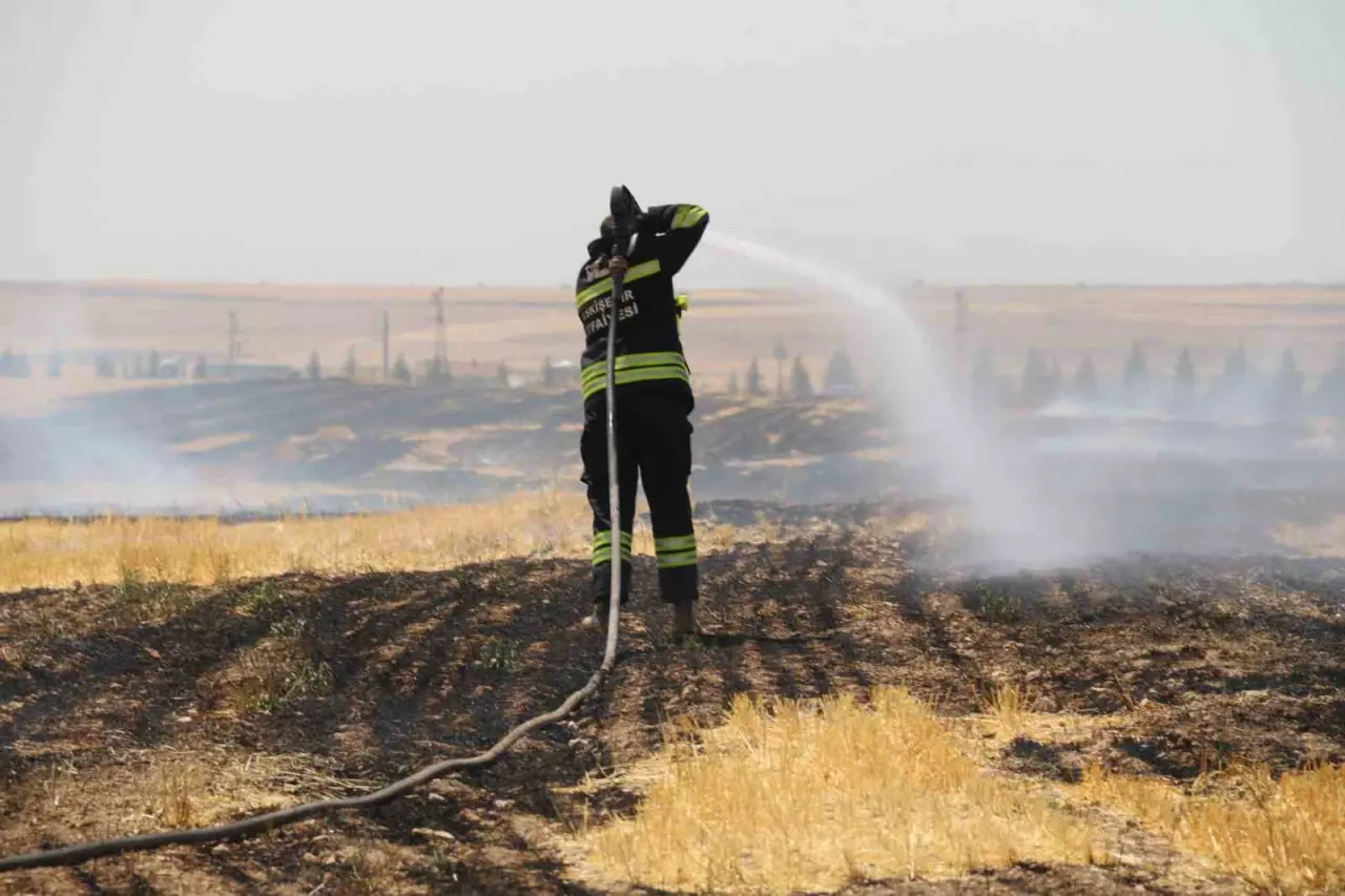 trafodan-cikan-yanginda-50-donum-tarim-arazisi-kul-oldu