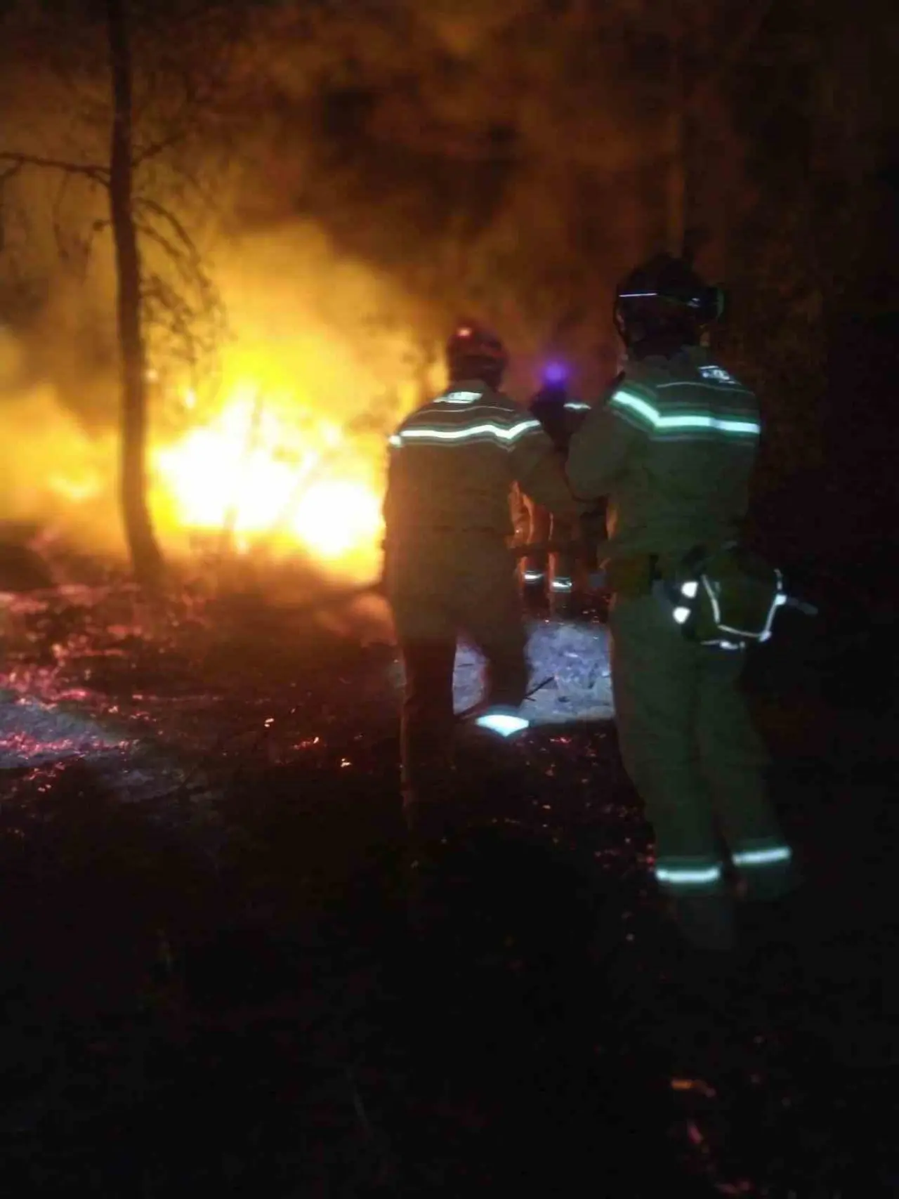 akut-eskisehir-ekibi-yanmak-uzere-olan-hayvanlari-kurtardi