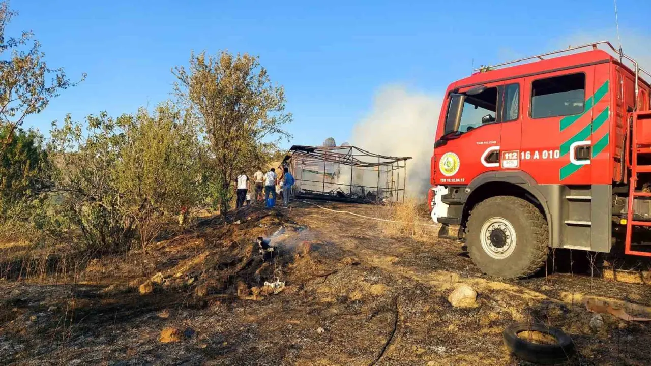 bilecikte-cikan-orman-yangini-kontrol-altina-alindi