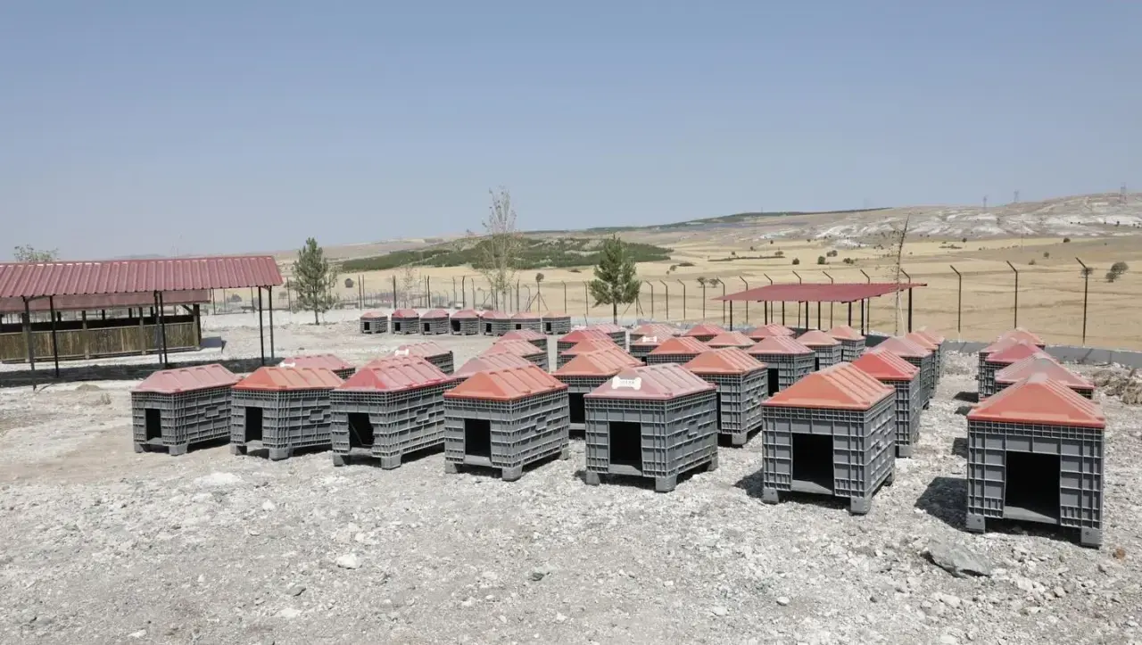 kutahyada-sahipsiz-hayvanlar-icin-dogal-yasam-alani-tamamlandi