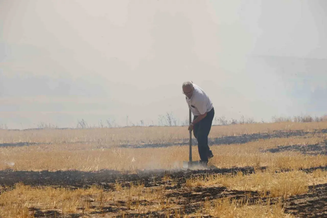 trafodan-cikan-yanginda-50-donum-tarim-arazisi-kul-oldu