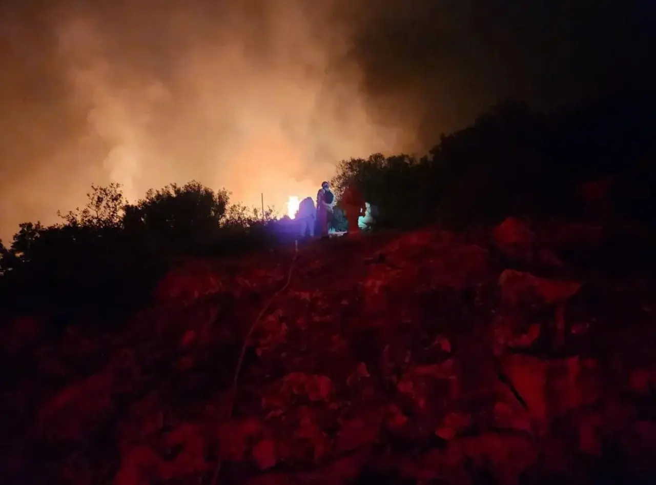 akut-eskisehir-ekibi-yanmak-uzere-olan-hayvanlari-kurtardi