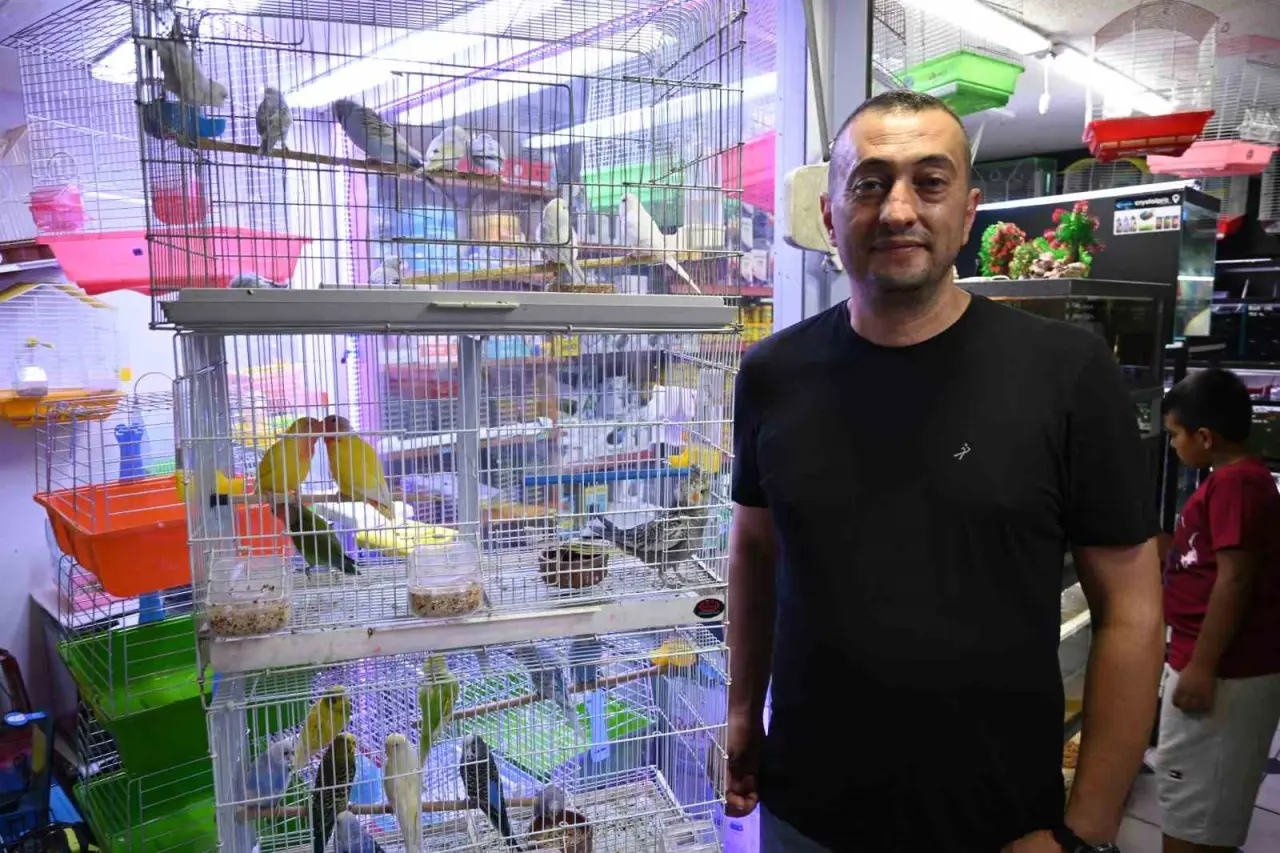 yaz-sicaklarinda-evlerde-balik-ve-kus-bakimi