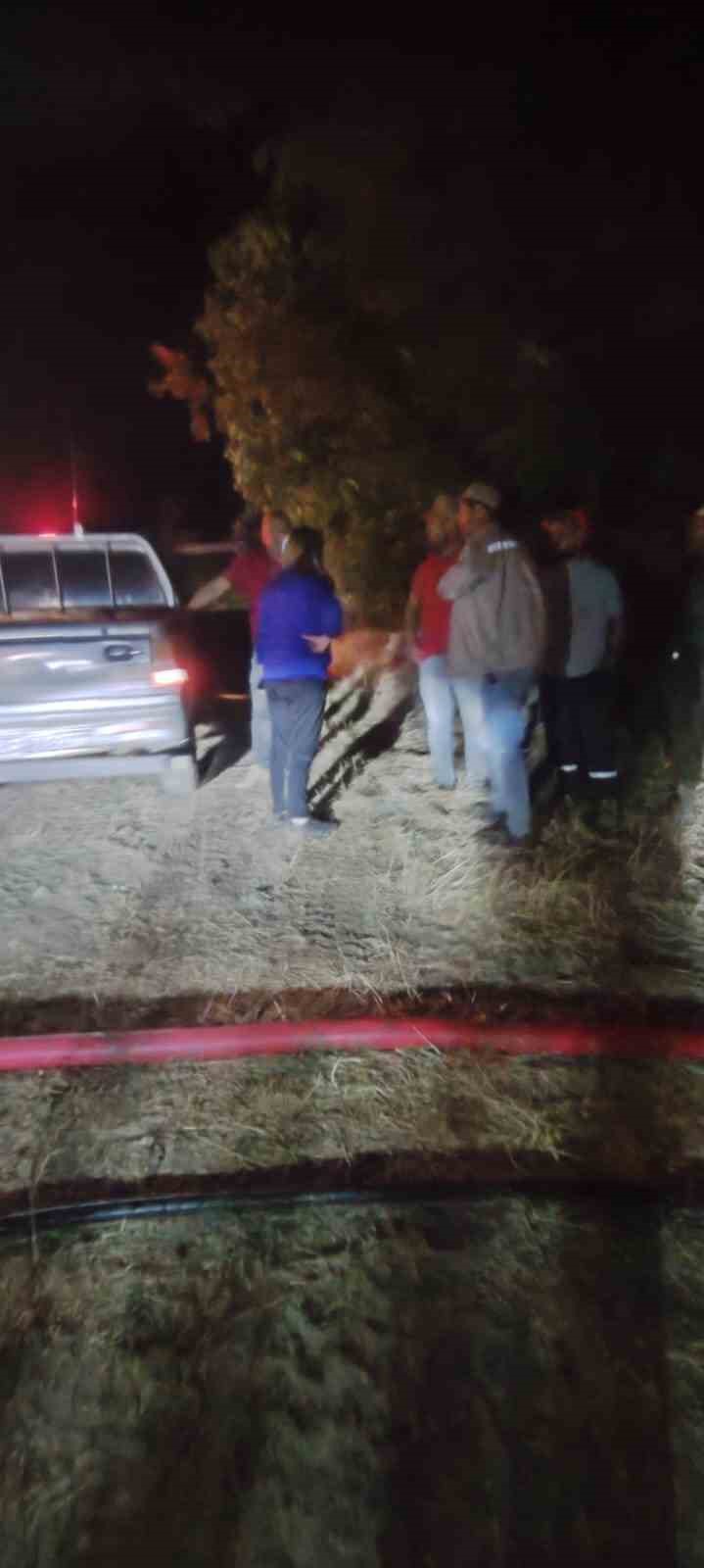 bilecikteki-orman-yangini-devam-ediyor