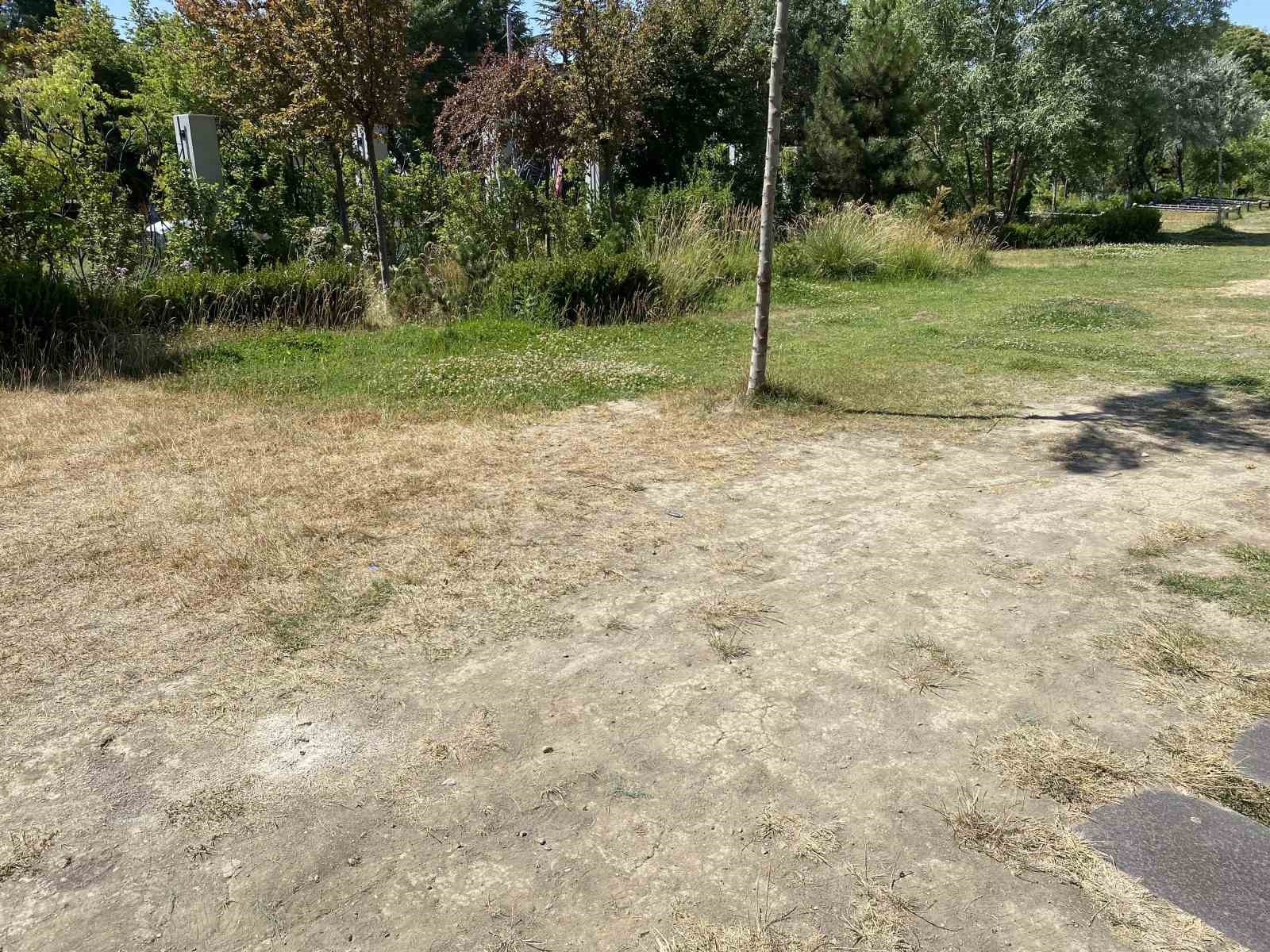 eskisehir-recep-tayyip-erdogan-millet-bahcesi-bakimsiz-kaldi