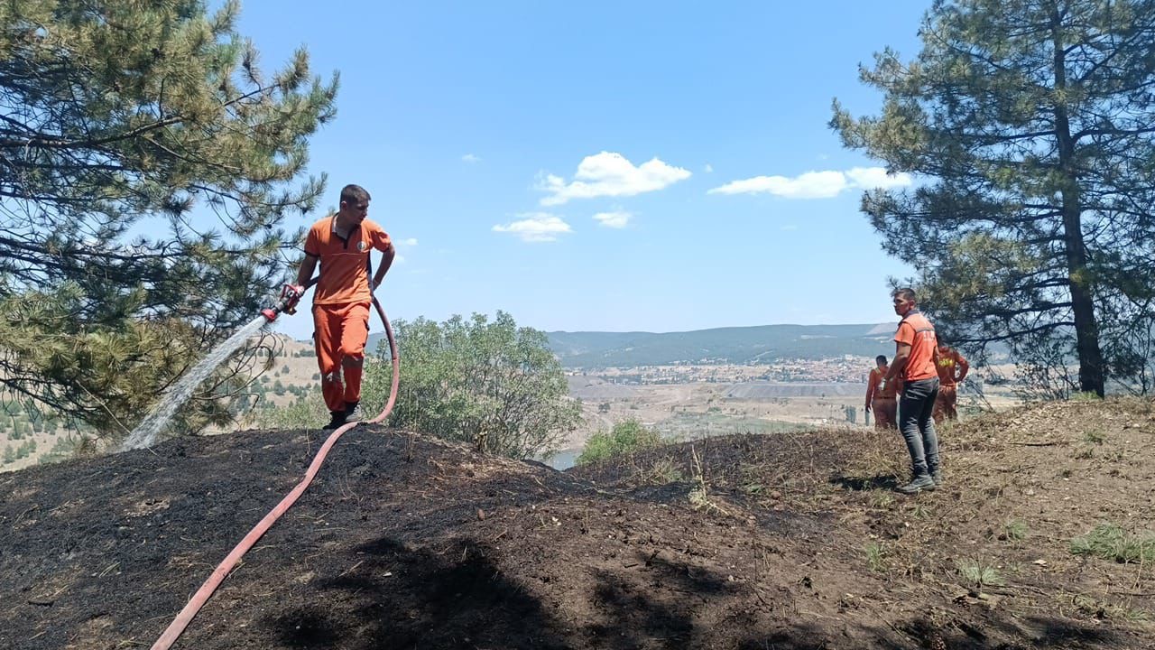 tavsanlida-orman-yangini-erken-mudahaleyle-sonduruldu