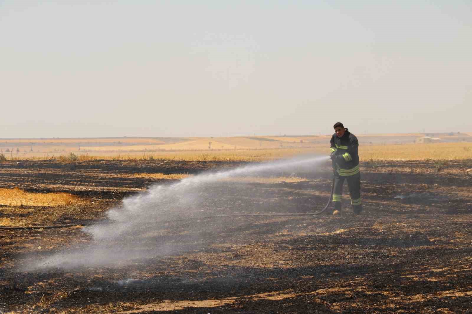 trafodan-cikan-yanginda-50-donum-tarim-arazisi-kul-oldu